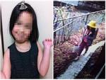 Hình ảnh cuối cùng của bé gái người Việt trước khi mất tích và được phát hiện tử vong ở Nhật Bản
