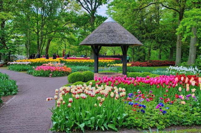 Keukenhof còn có nghĩa là “vườn nhà bếp” và ban đầu được sử dụng để trồng rau và thảo mộc.