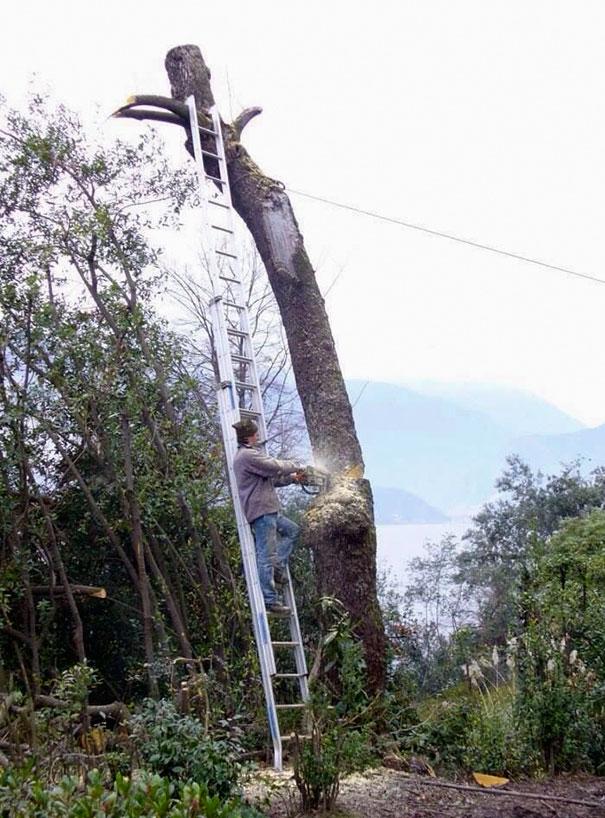 Đến lúc cưa xong cái cây thì anh chàng này đứng ở đâu đây.