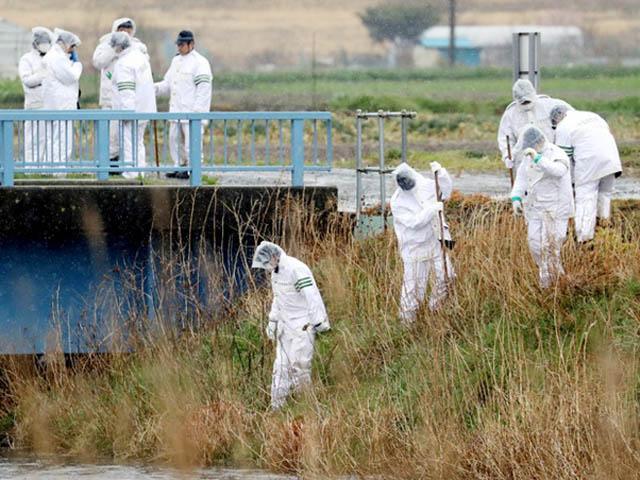 be gai viet bi sat hai o nhat co dau hieu bi danh va xam hai hinh anh 1