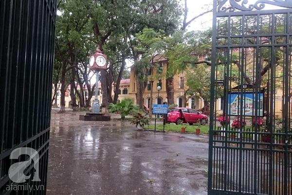 Hà Nội: 4 học sinh trường THPT Chu Văn An bị thương vì xà cừ cổ thụ bật gốc - Ảnh 2.