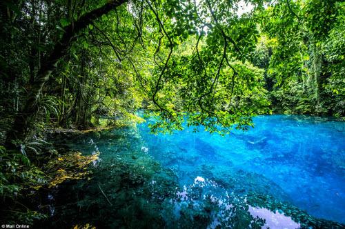 Trong khi nhiều địa điểm khiến du khách thất vọng vì bãi biển đông đúc và ồn ảo, Vanuatu giống như một thiên đường rừng với không gian yên tĩnh và trong lành