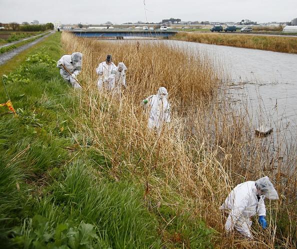 10 ngay vu an be gai Viet bi sat hai o Nhat gay chan dong hinh anh 5