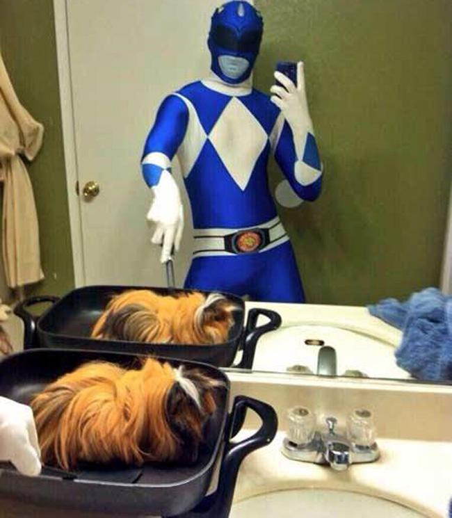 cac quy ong "song ao" cha thua kem chi em dau hinh anh 8