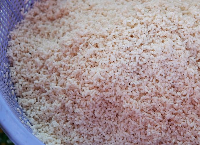 Đủ loại bánh chưng Sài Gòn nấu cúng giỗ Tổ