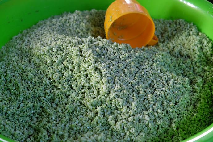 Đủ loại bánh chưng Sài Gòn nấu cúng giỗ Tổ