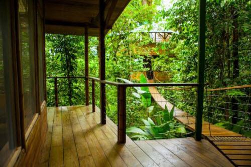 7. Finca Bellavista: Zona Sur, Costa Rica - Cách đây 1 thập kỷ, Erica và Matt Hogan đã cải tạo một diện tích rừng khoảng 240 ha ở nam Costa Rica thành khu nhà cây độc đáo Finca Bellavista. Các ngôi nhà ở đây sử dụng 100% điện năng lượng mặt trời và thiết kế thân thiện với thiên nhiên. Một mạng lươi lối đi được xây dựng giúp du khách có thể khám phá rừng xunh quanh.