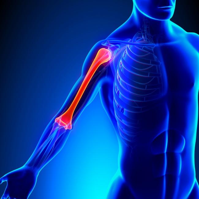 Sở hữu những đặc điểm này, bạn là một trong những người đặc biệt trên thế giới - Ảnh 1.