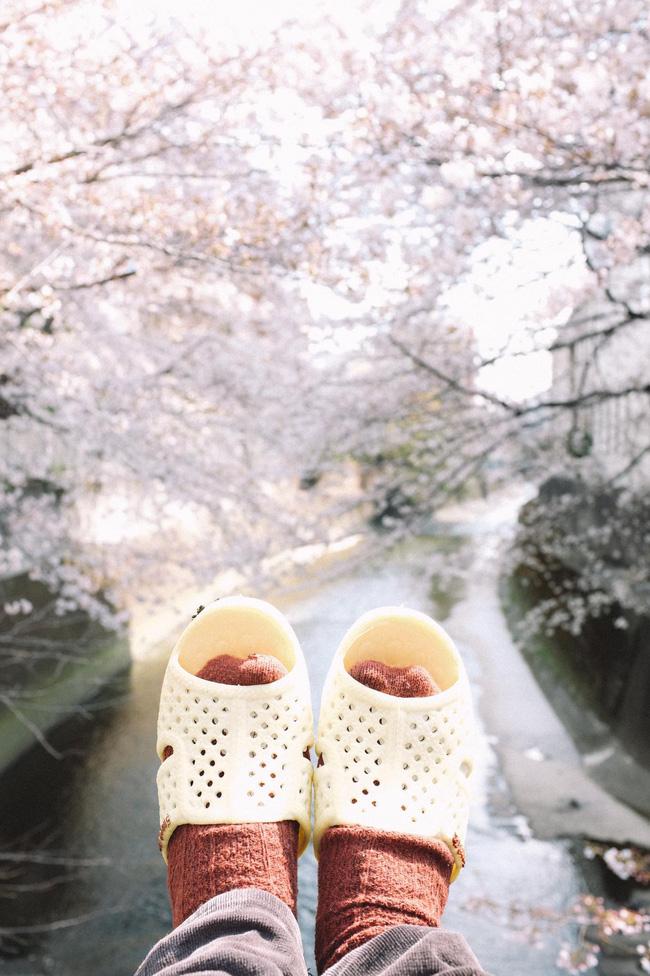 Cùng dép tổ ong đi khắp thế giới, một chuyến hành trình chưa từng có! - Ảnh 4.