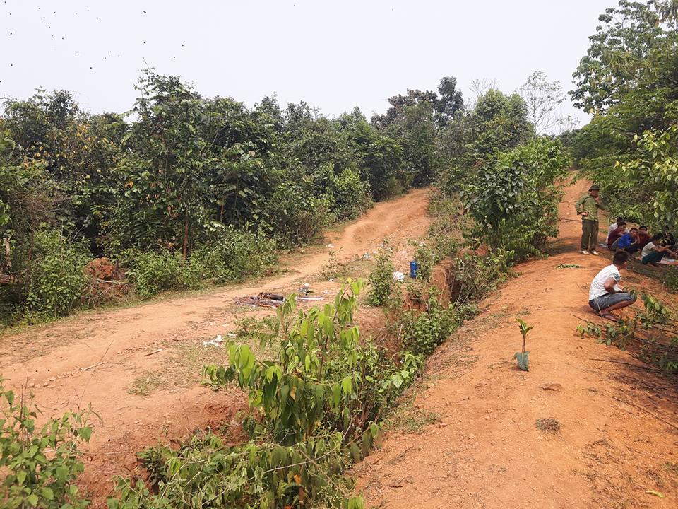 vu co giao tuong lai nghi bi hiep, giet: tieng thet tuyet vong giua rung hinh anh 2