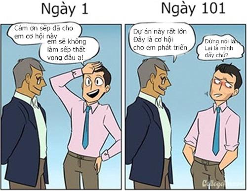 truyen tranh: nai to va cao gia cong so khac gi nhau? hinh anh 5