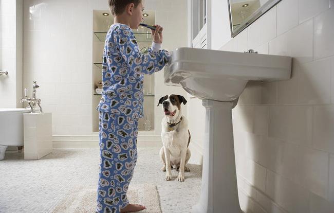 Không ăn gì sau 7h tối trong vòng 1 tháng và những điều bạn không thể ngờ được - Ảnh 4.