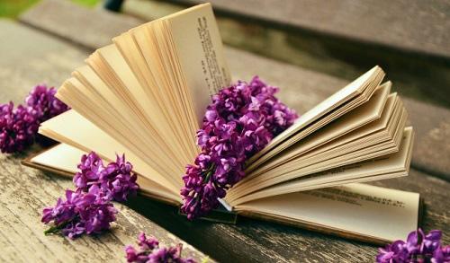 tu vi tuan 17/4: tuan den dui, cai gi cung gap rac roi cua tuoi dan, tuoi mao - 4