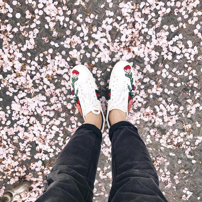 Ra đây mà xem người ta kéo nhau sang Nhật ngắm hoa anh đào hết rồi! - Ảnh 8.