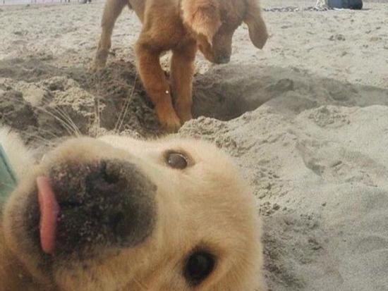 Chùm ảnh tố cáo những kẻ vô duyên nhất quả đất