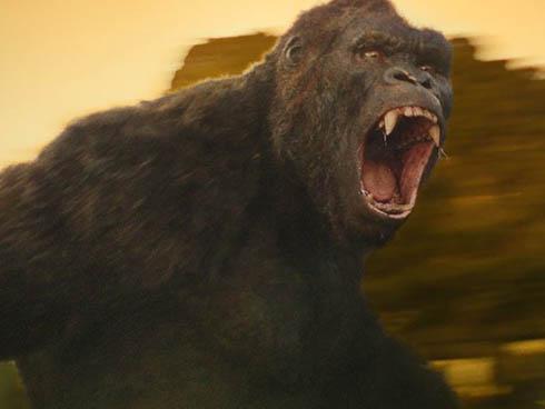 'King Kong' phiên bản truyền hình sẽ quay trở lại Việt Nam?