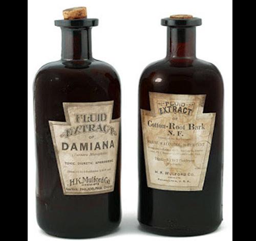 rung minh truoc cac cach pha thai dang so co tu thoi co dai - 4