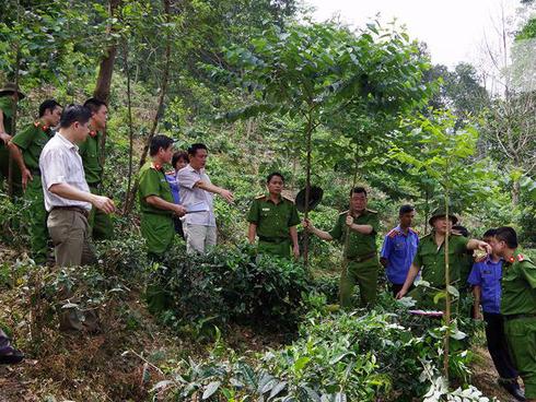 Hà Giang: Cảnh sát bắt khẩn cấp nghi can trói một phụ nữ vào gốc cây rồi sát hại