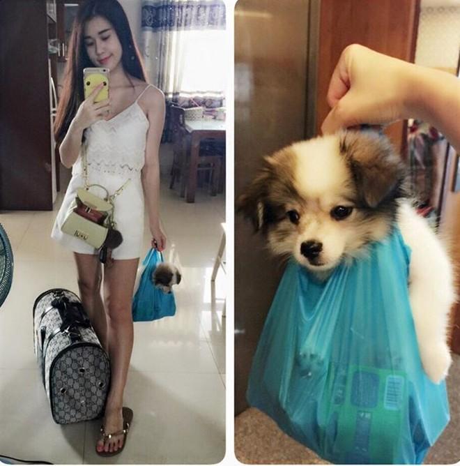 Hotten Việt và những lần 'muối mặt' vì lời ăn tiếng nói - 7