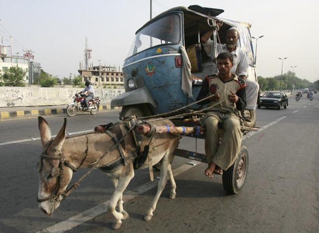 hinh anh "kho luong" chi thay tren... duong hinh anh 7