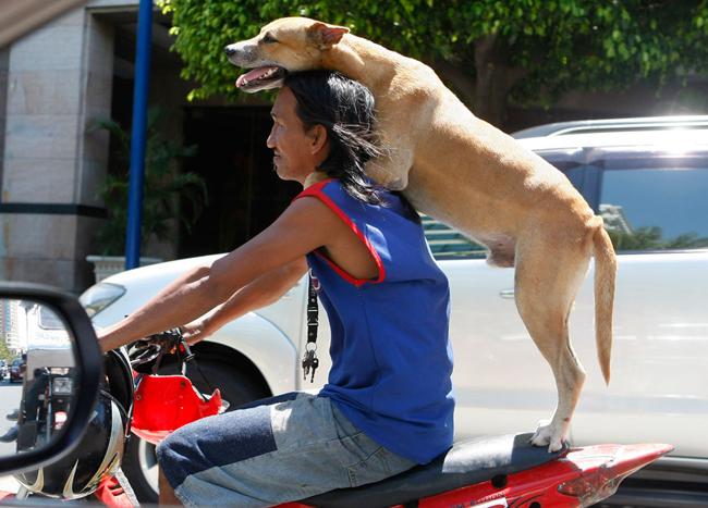 hinh anh "kho luong" chi thay tren... duong hinh anh 11