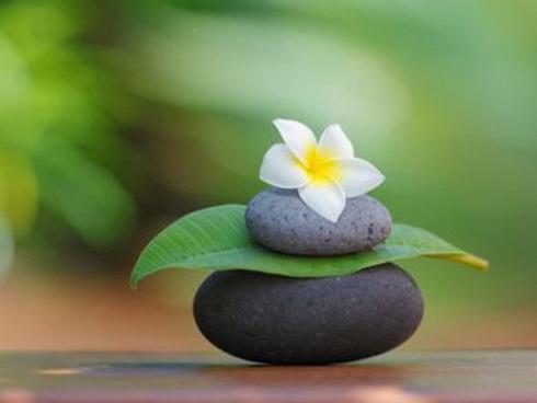 Phải mất một nửa đời người tôi mới có thể học được những điều này