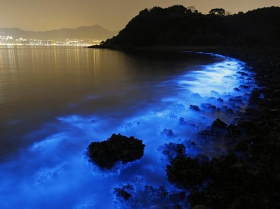 Ánh sáng xanh kỳ lạ bên bờ biển