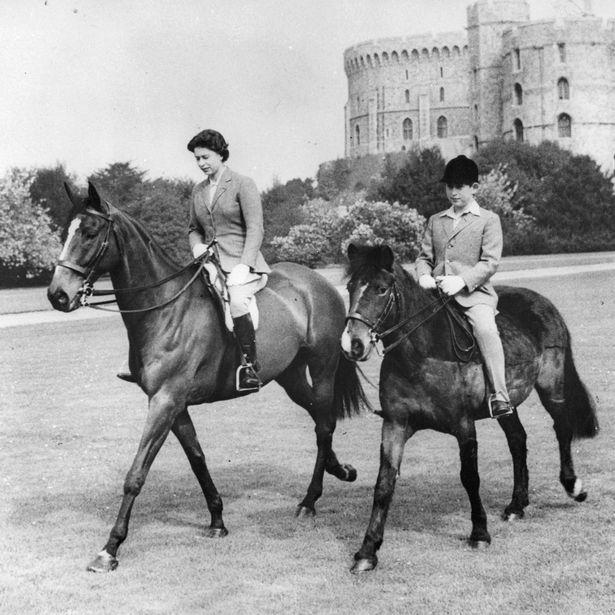 Cưỡi ngựa là một trong những môn thể thao yêu thích của bà. Tại buổi lễ Trooping the Colour năm 1981, Elizabeth từng suýt chết với 6 phát súng liên tiếp hướng vào bà. Về sau người này bị kết án 5 năm tù giam.