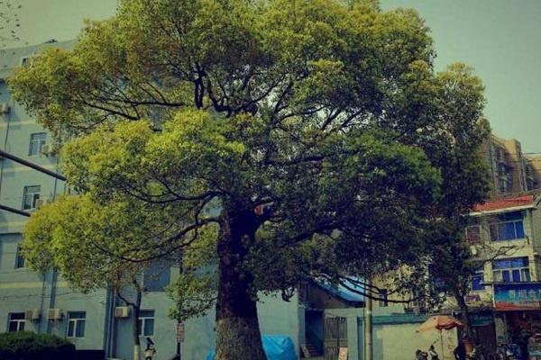 Cẩn thận những lỗi phong thủy dễ gây hao tài và khiến chủ nhân gặp nhiều vận xấu