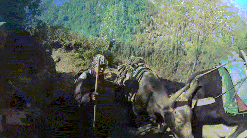 mui ne lot top 5 dia diem trai nghiem mao hiem nhat chau a hinh anh 3