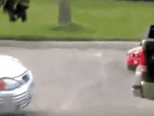 anh dong: ngo ngang voi cac nhoc ti