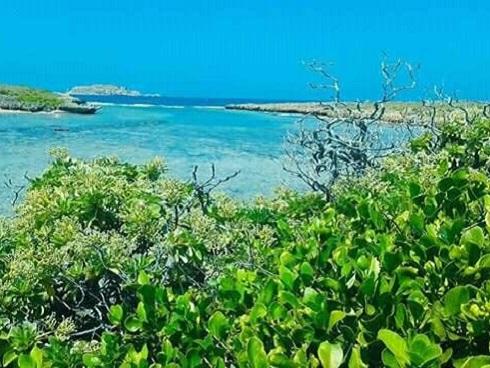 Hòn Đỏ - điểm đến tuyệt đẹp cho ngày hè