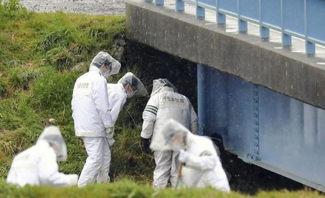 gia dinh be gai bi sat hai o nhat ban sot ruot vi nghi pham duoc tha roi bi bat lai - 1