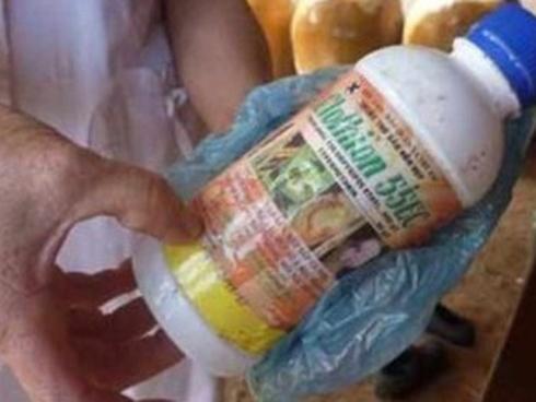 Mẹ cùng con gái 17 tháng tuổi uống thuốc diệt cỏ tự tử-2