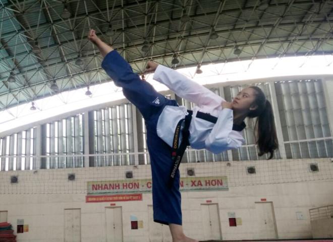 Hình ảnh Taekwondo Võ Thuật Vector Logo PNG  Võ Thuật Bowu Logo PNG miễn  phí tải tập tin PSDComment và Vector