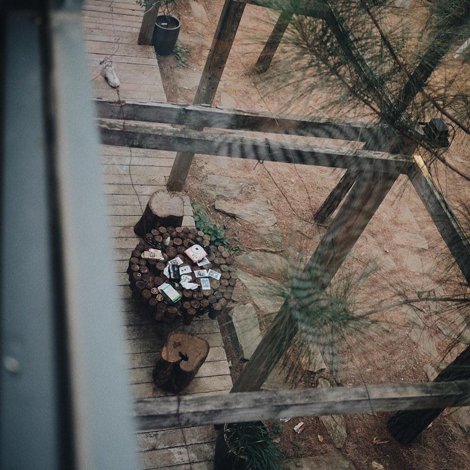 Sân vườn cực gần gũi với thiên nhiên, nơi các bạn có thể thư giãn và đọc sách giữa những tán thông rì rào – Ảnh: sưu tầm