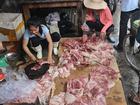 Thịt lợn rẻ bị hắt dầu luyn: Một công ty mua hết lợn cho chị Xuyến