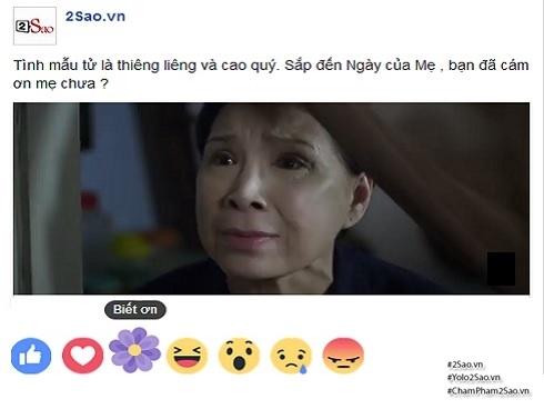 Bạn biết những sự thật gì về biểu tượng 'bông hoa tím' gây tranh cãi Facebook?