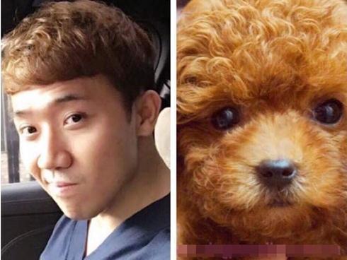 Facebook 24h: Trấn Thành 'câm nín' khi bị fan so sánh giống... cún