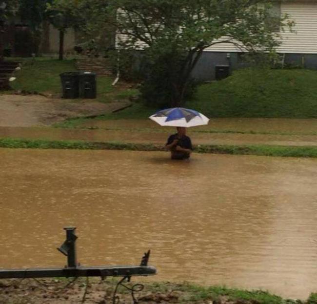 chi em bo tay voi hinh anh "kho coi" cua cac quy ong hinh anh 6