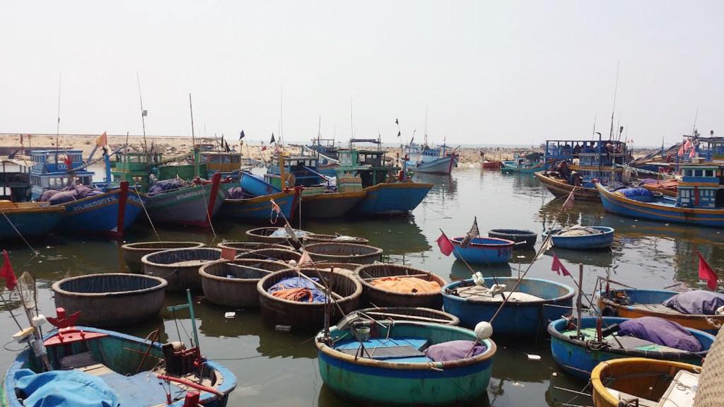 Trai nghiem cuoc song hoang da tren dao Cu Lao Cau hinh anh 5