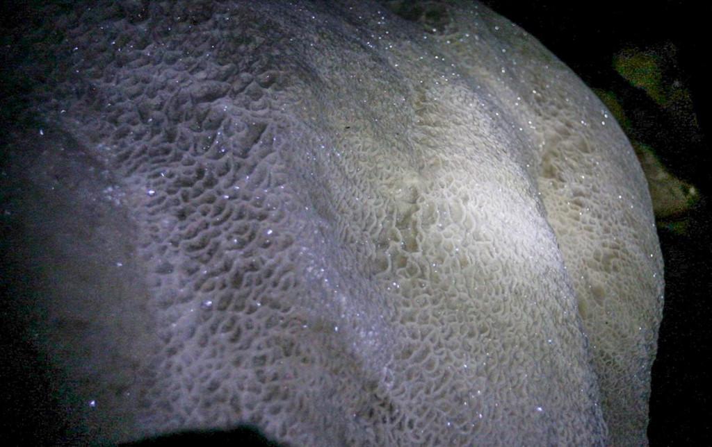 To da, nhu da hang chuc nghin nam trong hang 'Son Doong cua Ba Be' hinh anh 11