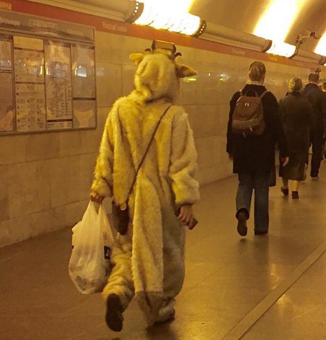 "hot ca hen"voi "thoi trang" noi cong cong hinh anh 8