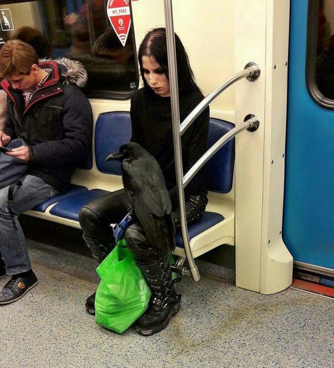 "hot ca hen"voi "thoi trang" noi cong cong hinh anh 6