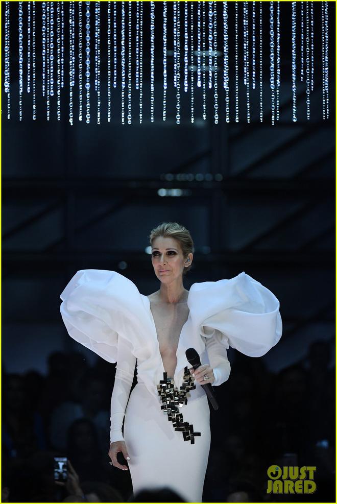 Nghẹn ngào Celine Dion mang My Heart Will Go On lên sân khấu 20 năm sau Titanic - Ảnh 5.