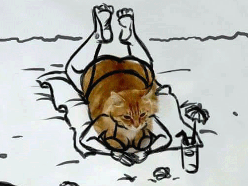 Ảnh hài: Khi chú mèo 'đáng thương' bị thánh photoshop troll nhiệt tình