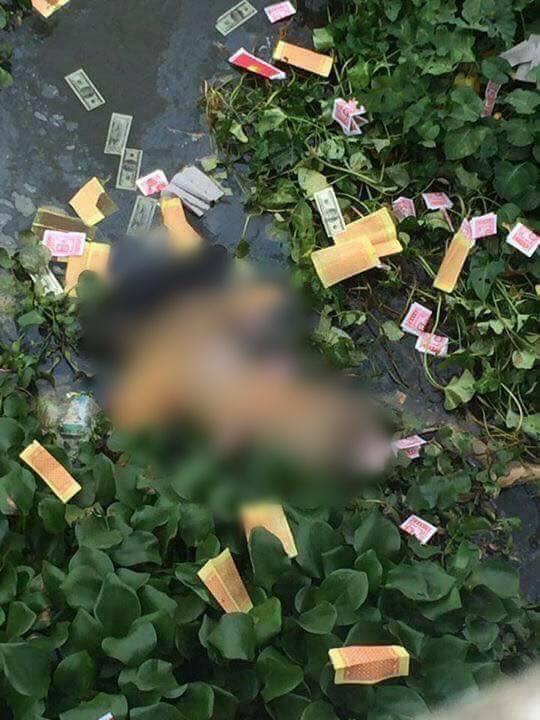 Vụ thi thể nam thanh niên đang phân hủy ở Hưng Yên: Nghi phạm khai được người khác thuê giết - Ảnh 1.