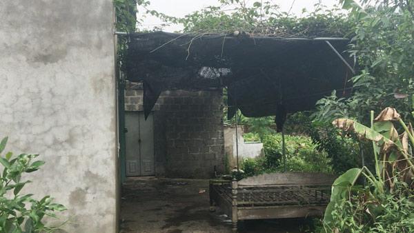 hien truong vu giet nguoi roi rach bung, cat "cua quy" o hung yen - 8