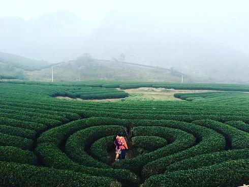 Muốn hạnh phúc, hãy dắt tay 'gấu' đi hết những nơi tràn ngập tim này để hâm nóng tình yêu