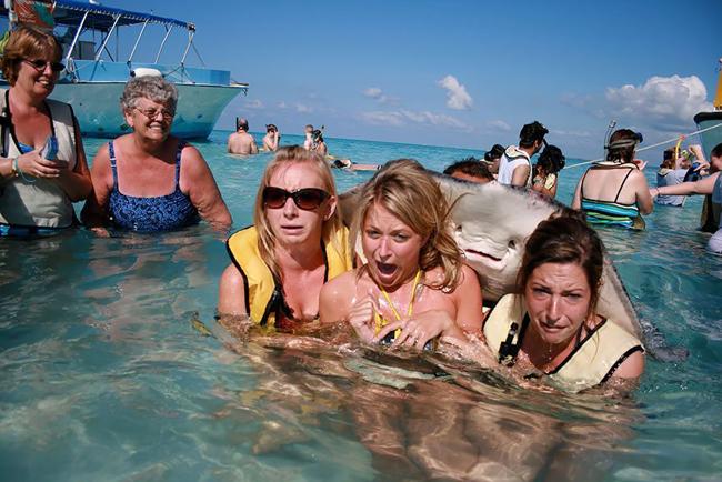 dong vat nghien "tu suong" khong he thua con nguoi hinh anh 1